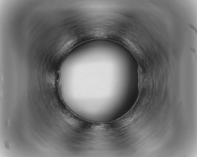 X0000093380072200710251227