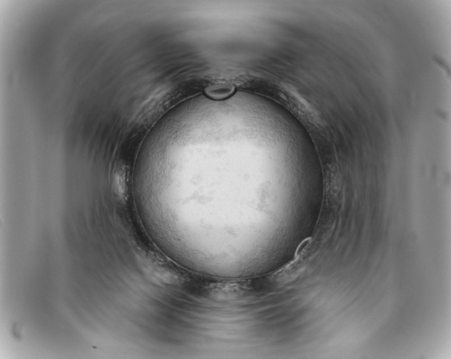 X0000093380074200710251227