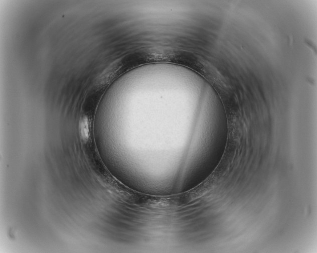 X0000093380075200710251227