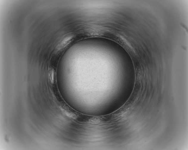 X0000093380076200710251227