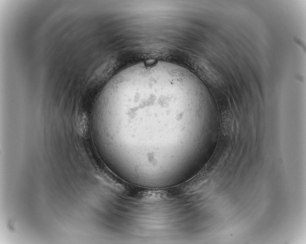 X0000093380077200710251227