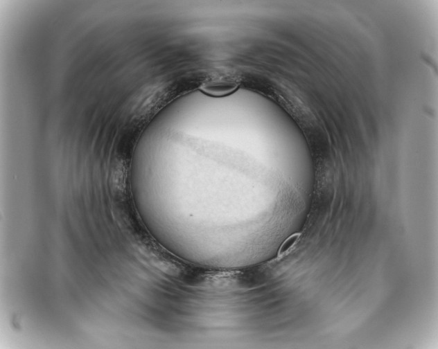 X0000093380078200710251227