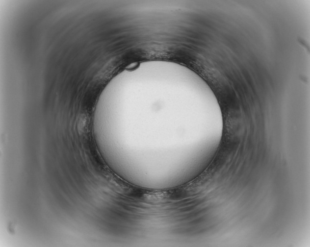 X0000093380079200710251227