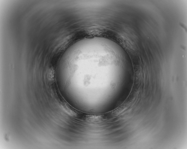 X0000093380081200710251227