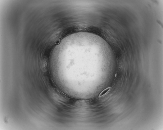 X0000093380082200710251227