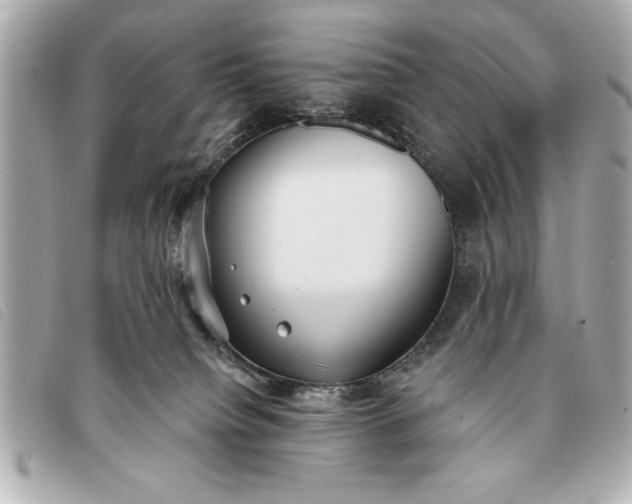 X0000093380084200710251227