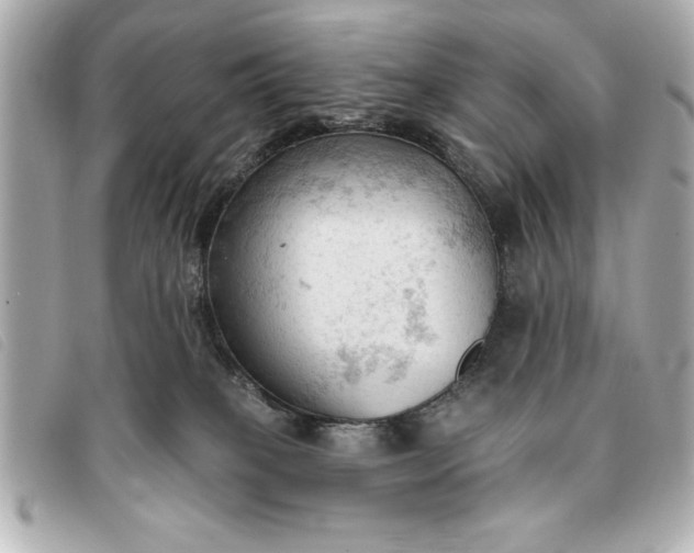 X0000093380085200710251227