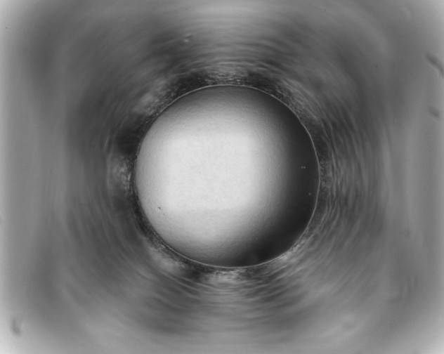 X0000093380086200710251227