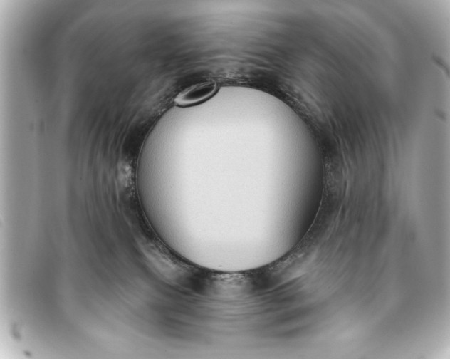 X0000093380087200710251227