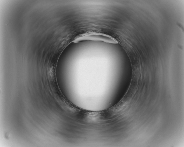 X0000093380088200710251227