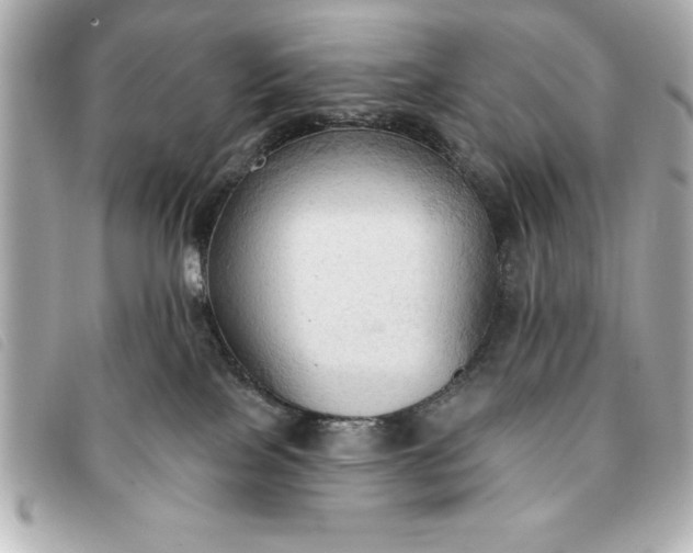 X0000093380089200710251227