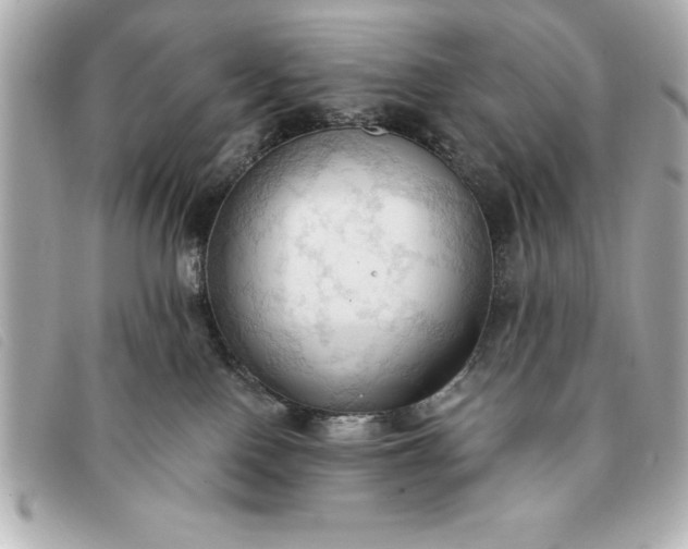 X0000093380090200710251227