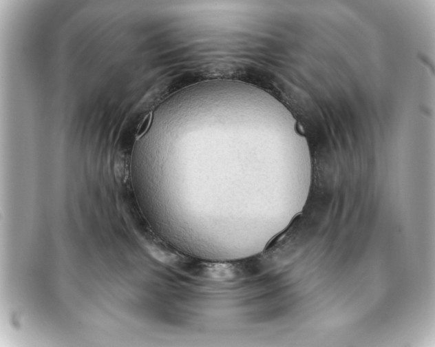 X0000093380091200710251227