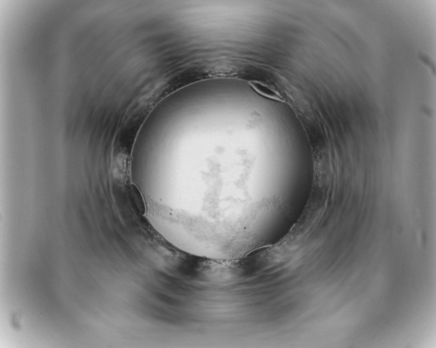 X0000093380093200710251227