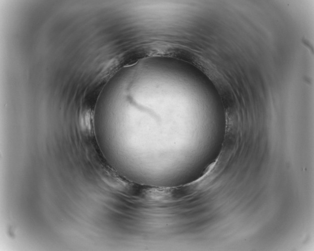 X0000093380094200710251227