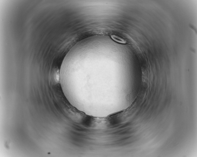 X0000093380095200710251227