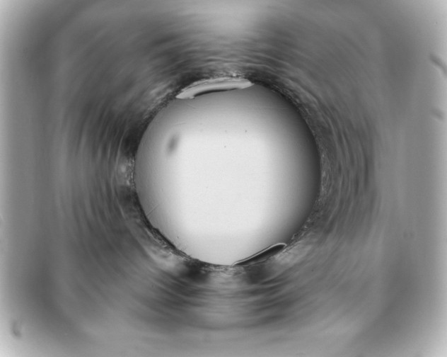 X0000093380096200710251227