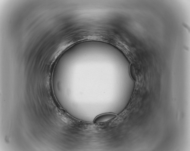 X0000093380098200710251226