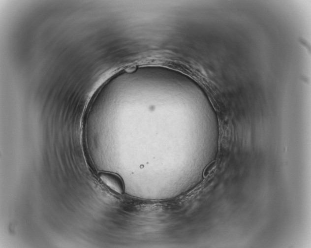 X0000093380100200710251226