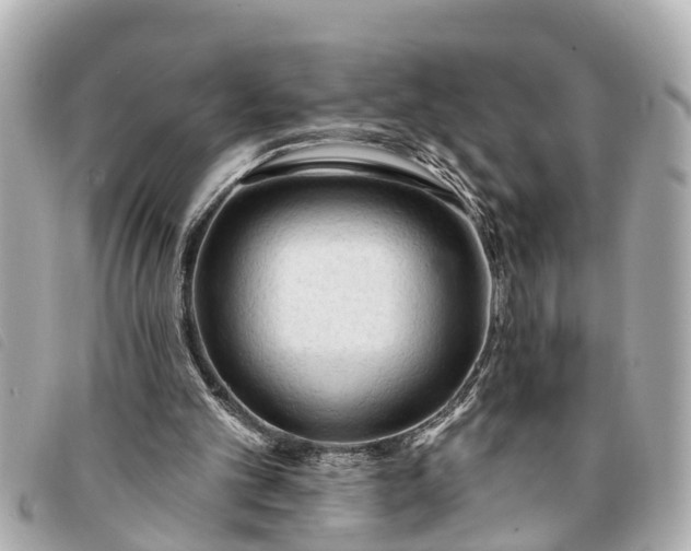 X0000093380101200710251226