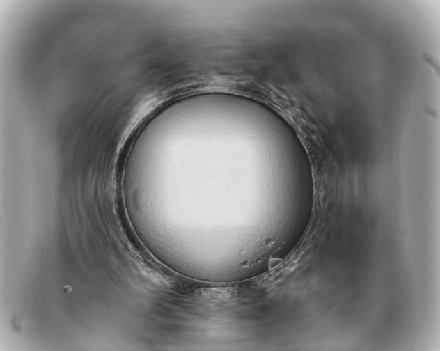 X0000093380102200710251226