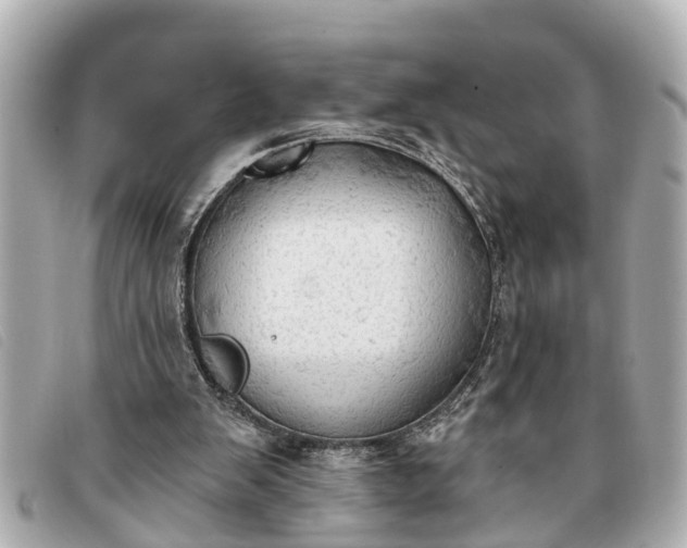 X0000093380103200710251226