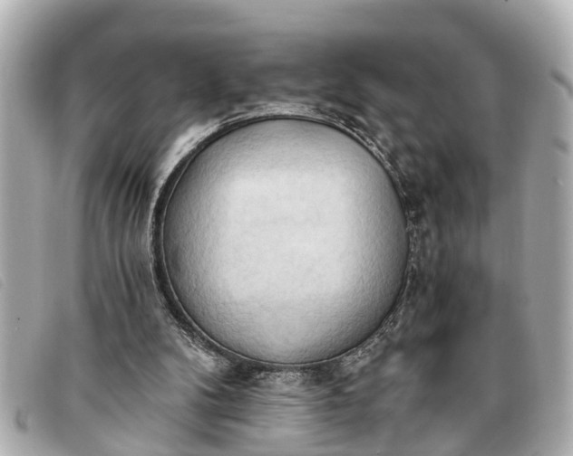 X0000093380104200710251226