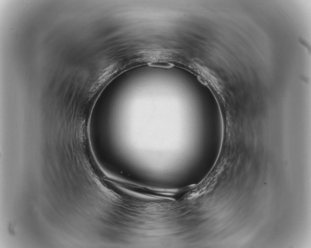 X0000093380105200710251226