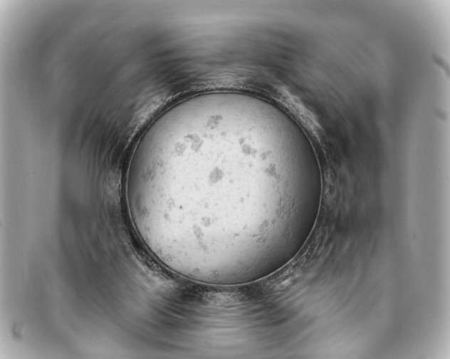 X0000093380107200710251226