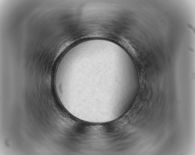 X0000093380108200710251226