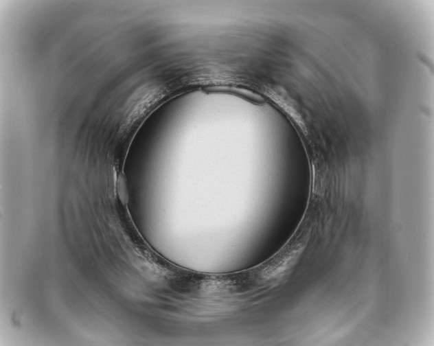 X0000093380109200710251226