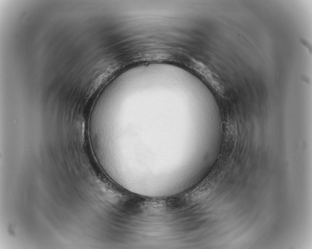 X0000093380110200710251226