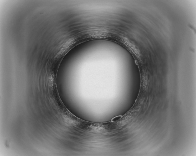 X0000093380113200710251226