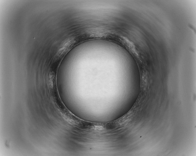 X0000093380114200710251226