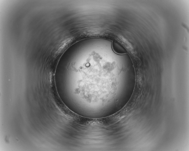 X0000093380115200710251226