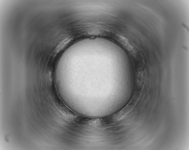 X0000093380116200710251226