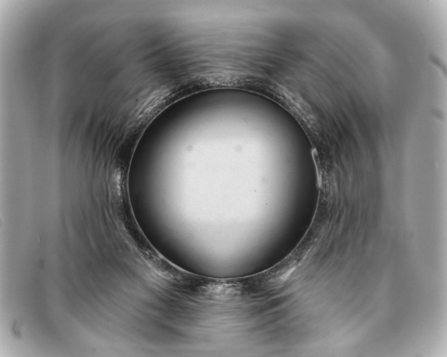 X0000093380117200710251226