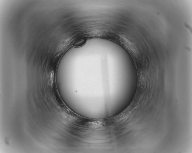 X0000093380118200710251226