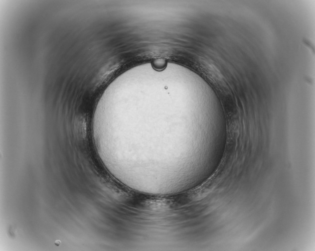 X0000093380120200710251226