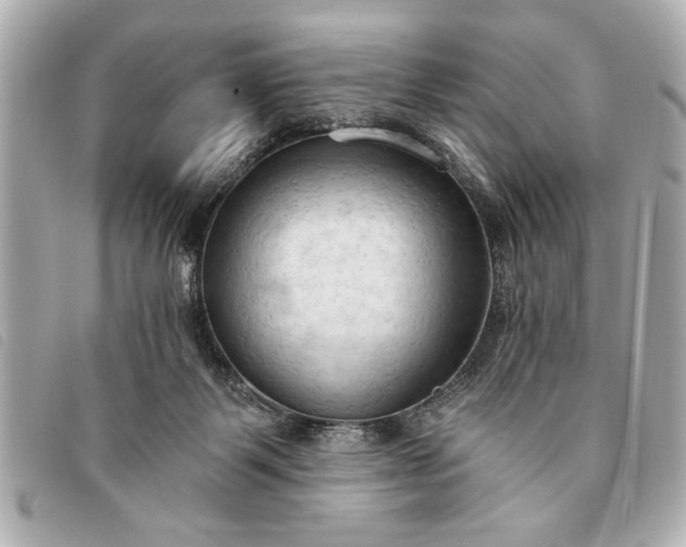 X0000093380123200710251226