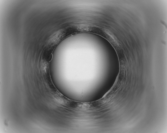 X0000093380125200710251226