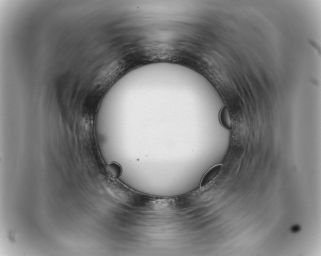 X0000093380126200710251226