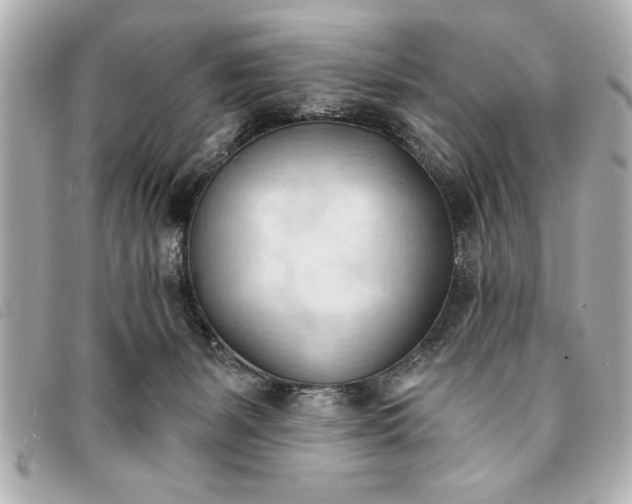 X0000093380127200710251226