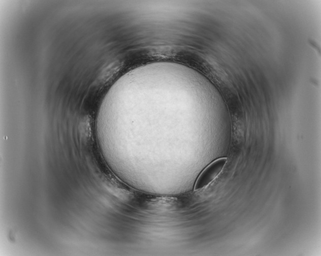 X0000093380128200710251226