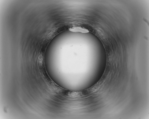 X0000093380129200710251226