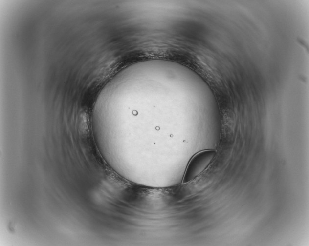 X0000093380130200710251226