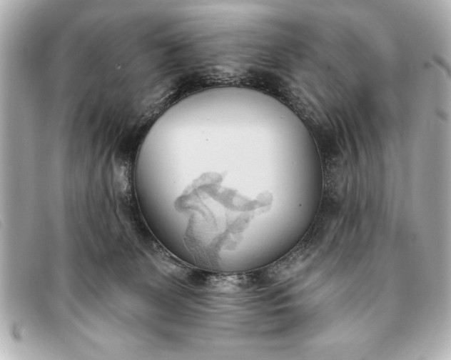 X0000093380131200710251226