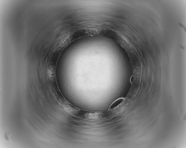 X0000093380134200710251226