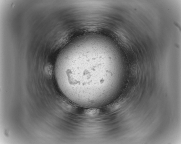 X0000093380135200710251226