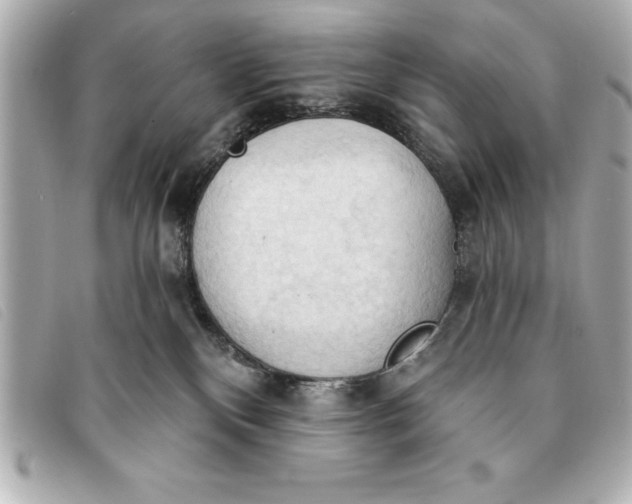 X0000093380136200710251226